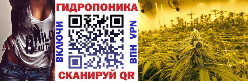  Cocaine Киреевск