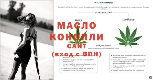 дмт Богданович