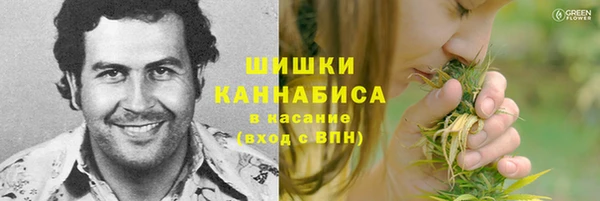 бошки Снежногорск