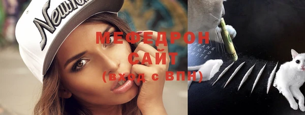 дмт Богданович