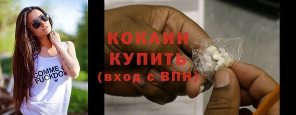 дмт Богданович