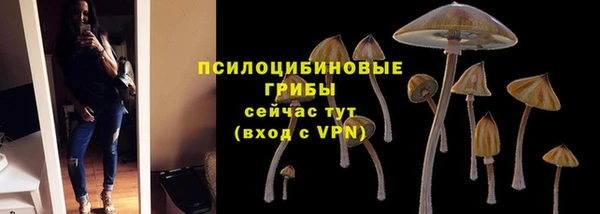 ПСИЛОЦИБИНОВЫЕ ГРИБЫ Снежинск