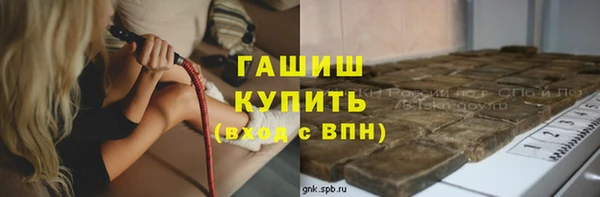 дмт Богданович