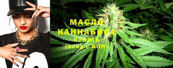 дмт Богданович