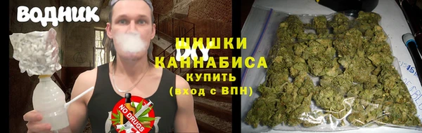 PSILOCYBIN Богородск