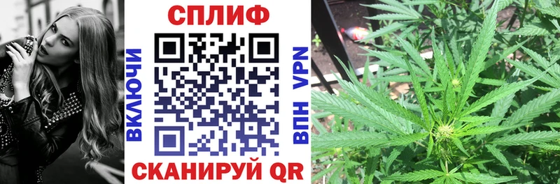 Марихуана Amnesia  Киреевск 